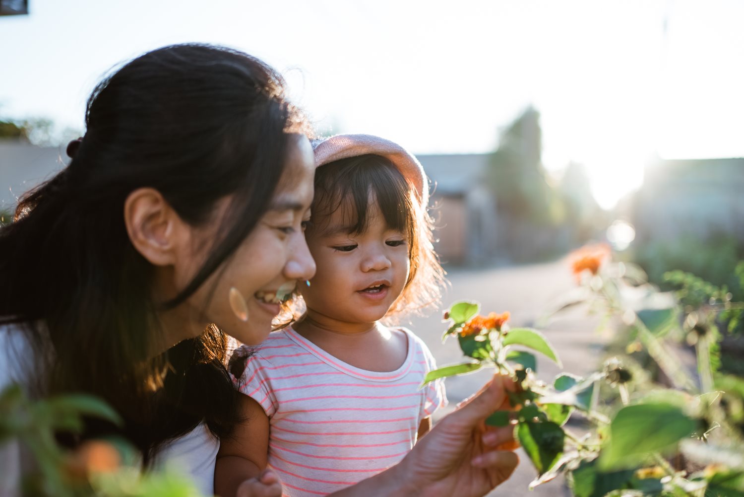 What Do Families Think About the Online More Than Words® Program?