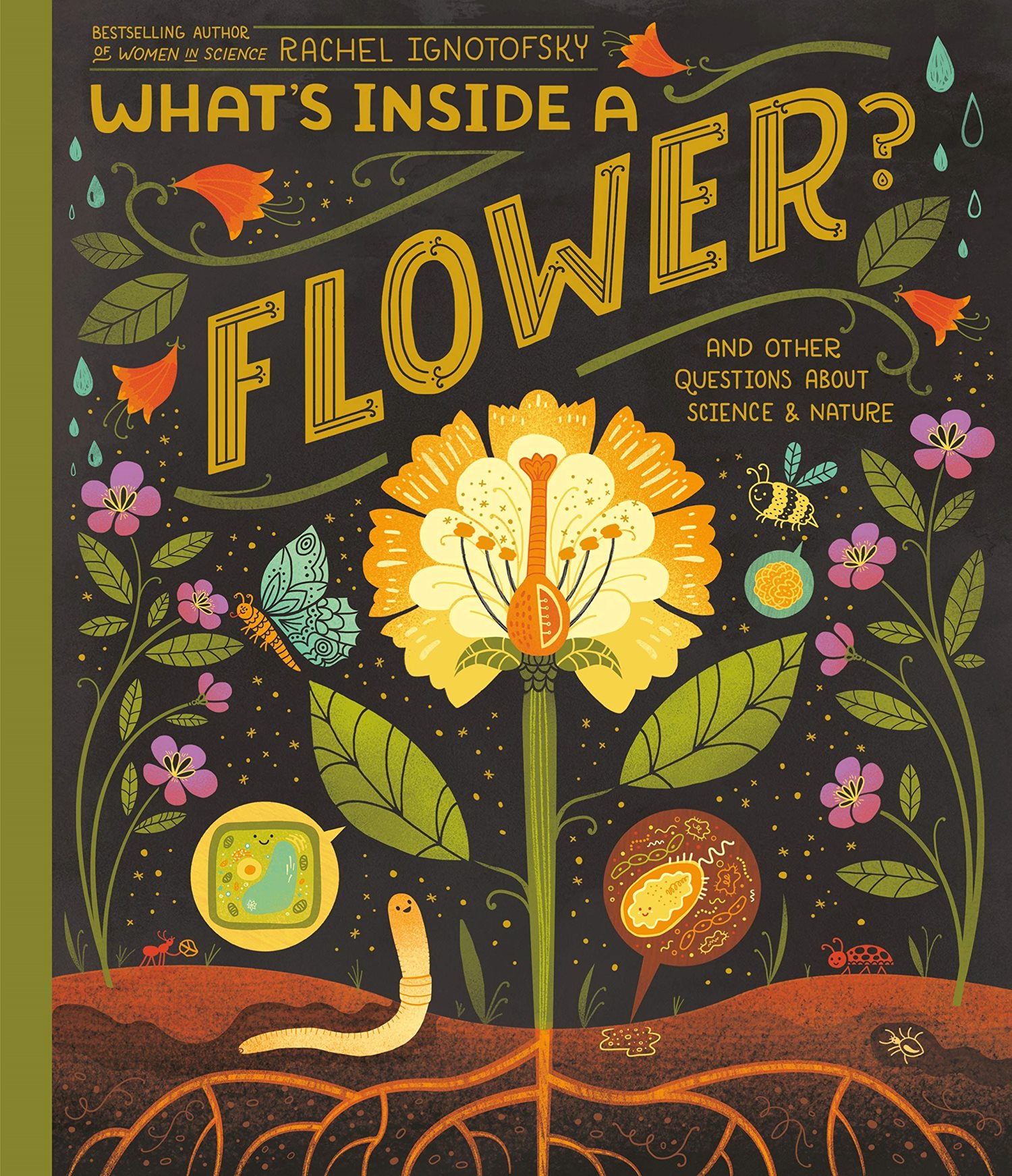 Introducing Rare Vocabulary with What’s Inside a Flower?