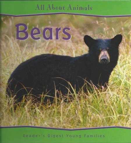 Introducing Rare Vocabulary with All About Animals: Bears