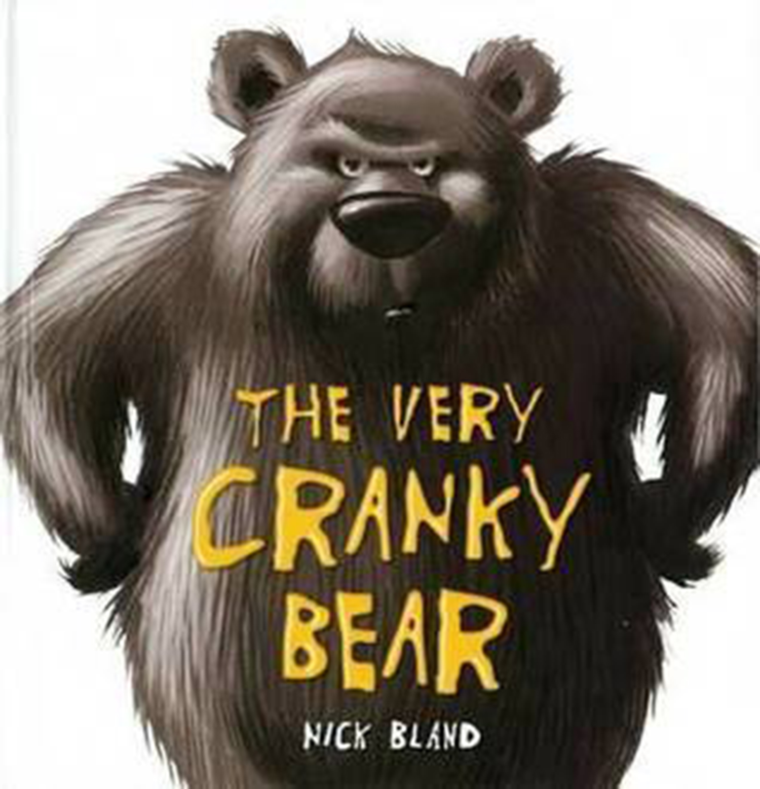 Problem-solving with The Very Cranky Bear